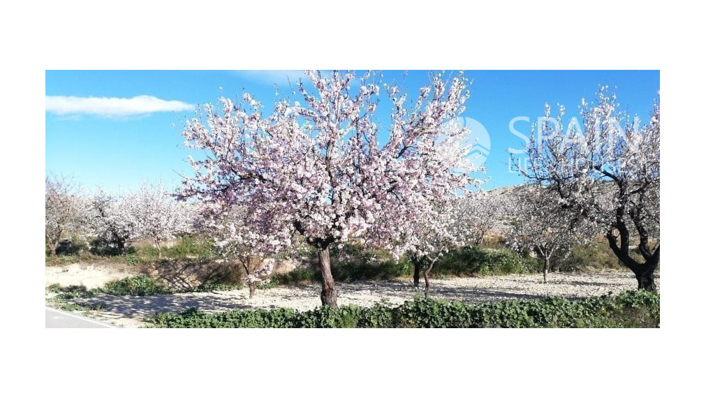 NOVOSTAVBA Radové domy v blízkosti golfu a letiska Alicante