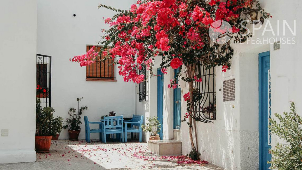 Rezidenčná presvetlená vila so 4 spálňami s privátnym bazénom s jedinečnou architektúrou v ALTEA, Costa Blanca Sever