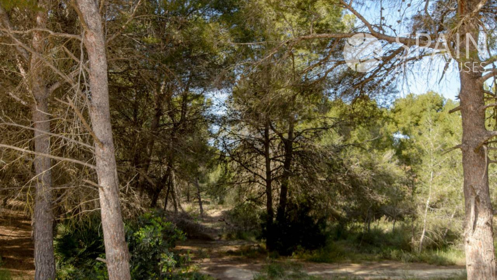 Nové bungalovy s 2 spálňami 8 km od pláže v San Miguel de Salinas, Costa Blanca juh. Dokončené.