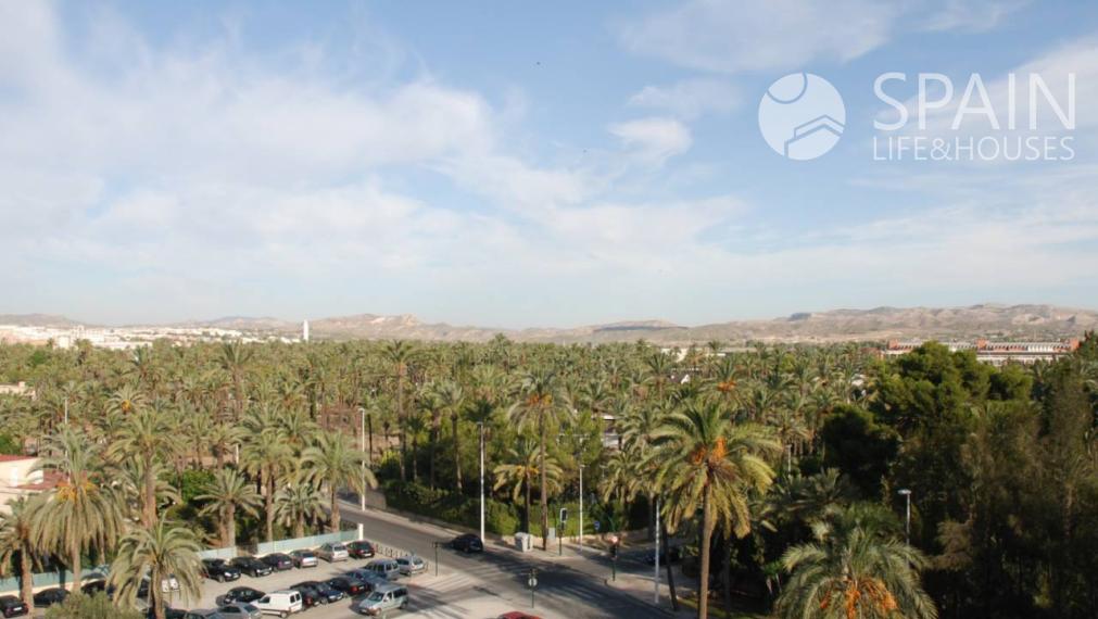 Novopostavené apartmány s 3 spálňami v centre mesta Elche, Alicante. Nachádza sa 15 km od pláže. Kľúč v ruke