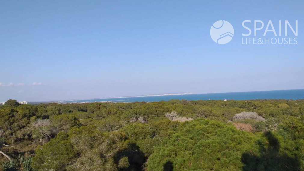 Luxusný byt v novostavbe v Guardamar del Segura, Alicante, Costa Blanca juh