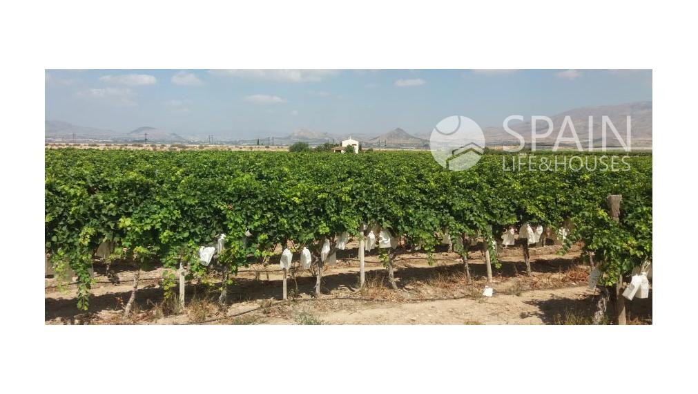 NEWBUILD Townhouses close to the golf and airport Alicante