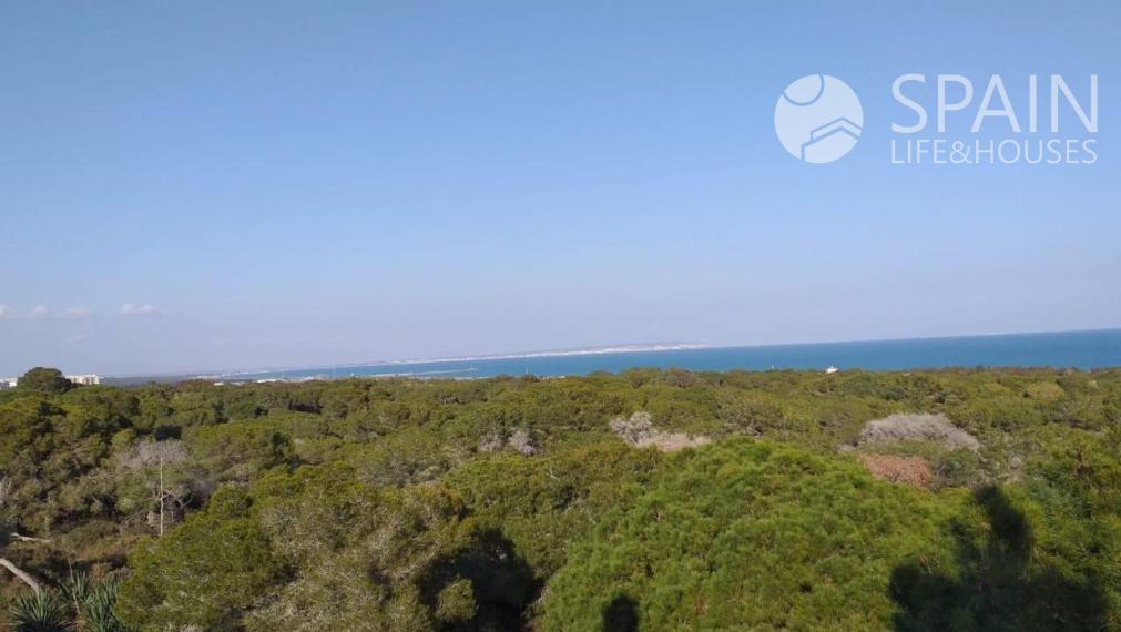 Luxury new construction apartment in Guardamar del Segura, Alicante, Spain