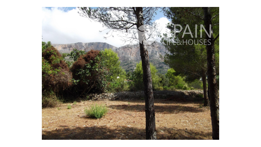 Beautiful land for sale in Jávea