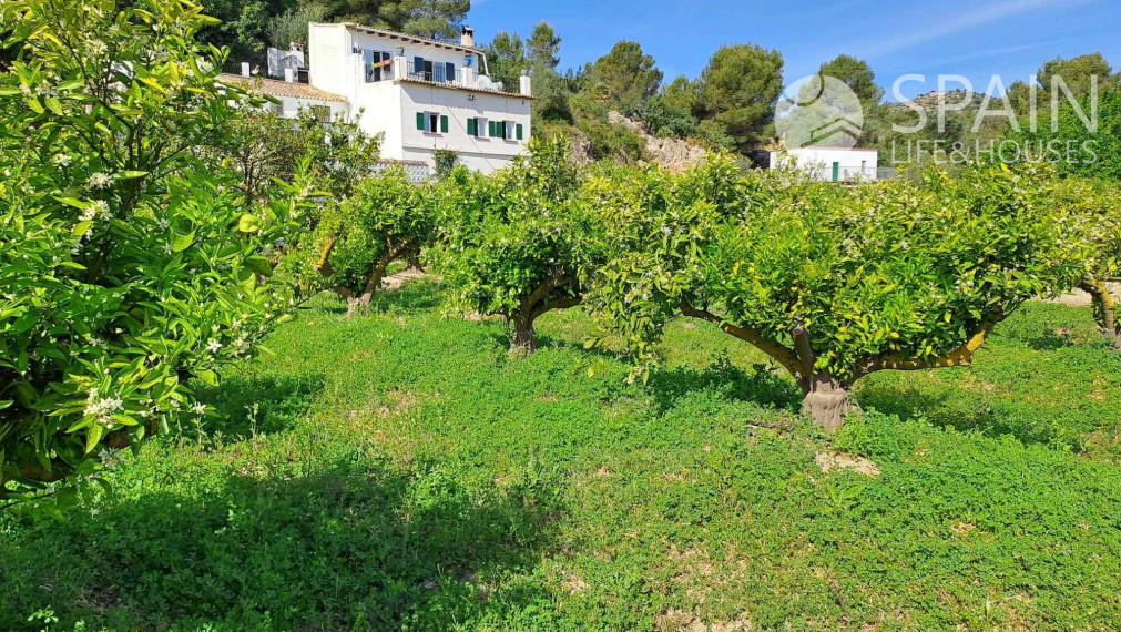 Rural Residence in the Natural Park El Marjal, Oliva