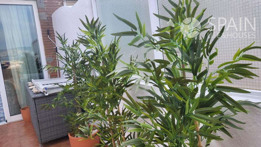 Oasis in Jávea: Dream Apartment until May 2024 for 600€/month