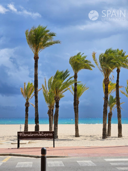 Torre de Cristal in Benidorm: Homes with Spacious Terraces and Spectacular Views