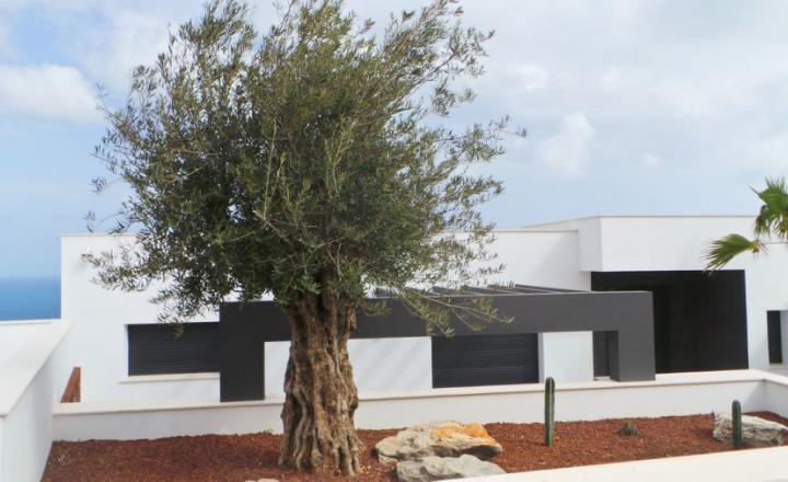 Dreamy modern luxury villa with sea view, Cumbre del Sol,  Benitachell, Costa Blanca - fotografia 9