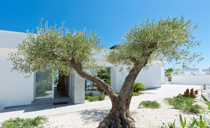 3 bedroom modern  villa in sale, key ready, in Cumbre del Sol, Costa Blanca - fotografia 14