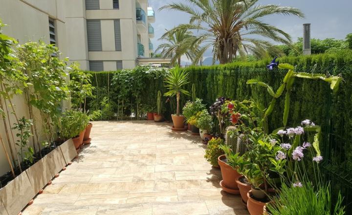 (Avaiable until may 2024) One bedroom apartment for RENT in Vergel, Costa Blanca - fotografia 5