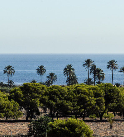 NEW BUILDING IN A NATIONAL PARK WITH SEA VIEW, Alfaz del Pi, Costa Blanca North - fotografia 11