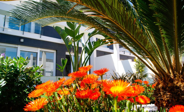 PROJECT LIN-DA. Magnificent semi-detached villas with pool 5 minutes from the beach in Alicante. The project will be completed in early 2025 - fotografia 1