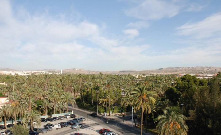Newly built apartments with 3 bedrooms in the center of Elche, Alicante. Located 15 km  from the beach. Key in hand - fotografia 16