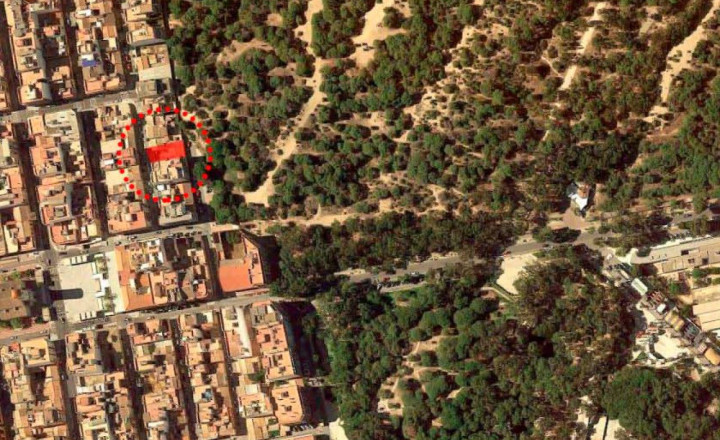 Building site, Guardamar, Alicante, Costa Blanca - fotografia 3
