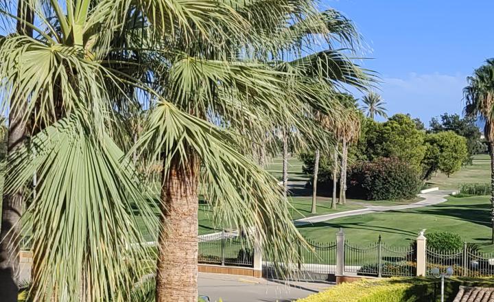 Spectacular apartment with unobstructed views | Oliva Nova | Golf | 500 meters from the sea - fotografia 10